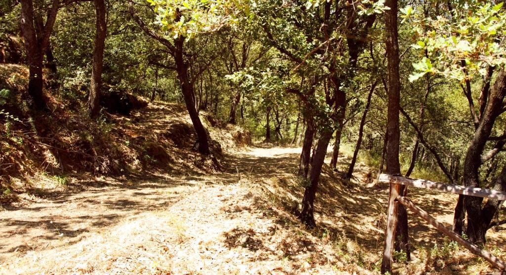 Le Oreadi Francavilla di Sicilia Εξωτερικό φωτογραφία